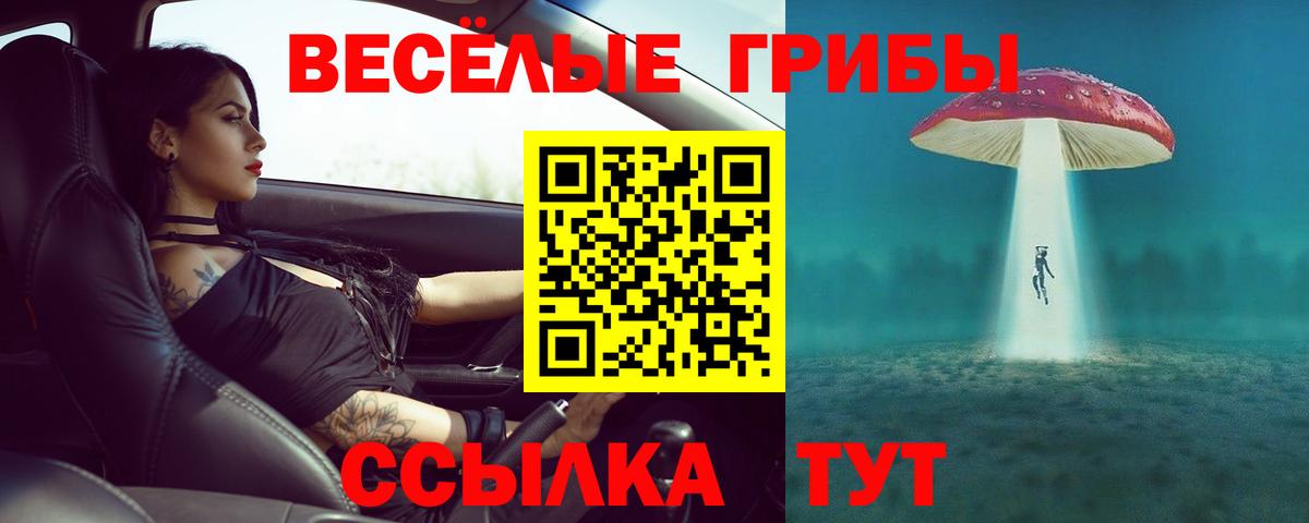 Галлюциногенные грибы MAGIC MUSHROOMS Семёнов